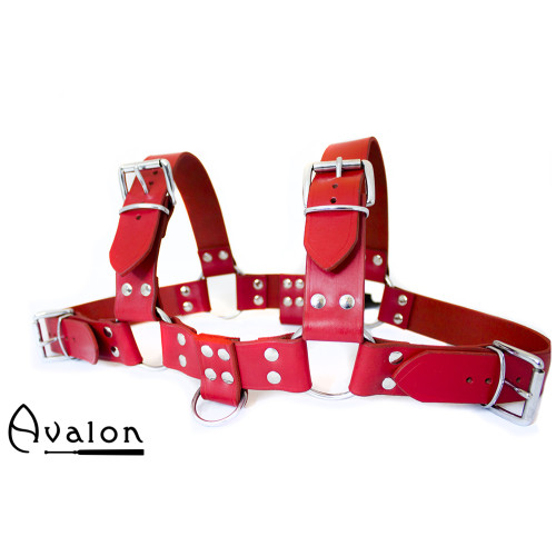 Avalon - BLAZON - Harness Rød