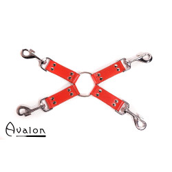 Avalon - RITUAL - Hog-tie-sett med 4 deler - Rød