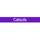 Catsuiter