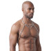 Svenjoyment - Harness i metall Svenjoyment - Harness i metall
